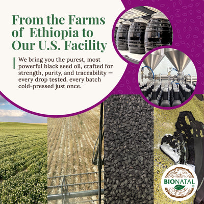 Ethiopian Black Seed Oil 5oz (GLASS)